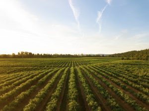 aides reprise entreprise agriculture