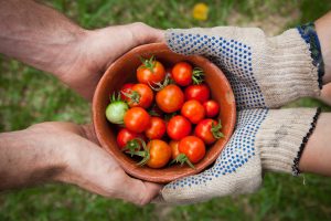 Aides Agriculteur 